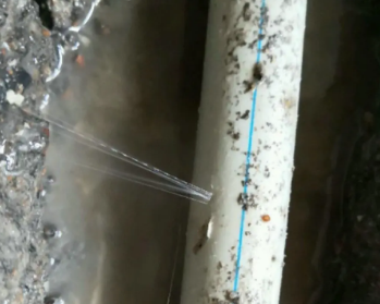 下陆卫生间测漏水多少钱