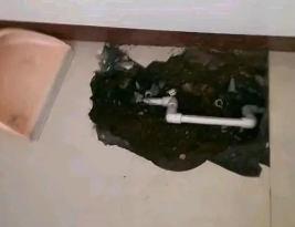 下陆卫生间测漏水多少钱